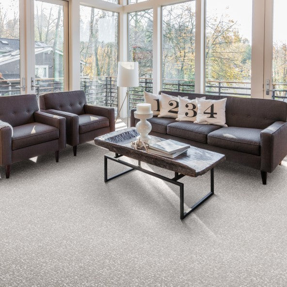 Lazy Day Home Theater Carpet-Home Movie Decor with Home Theater Mart - Located in Chicago, IL